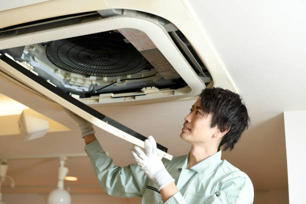 Best Home Air Vent Cleaning  in Le Mars, IA